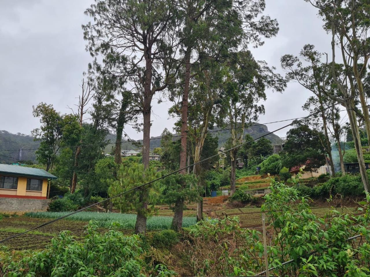 Homestay Sasru